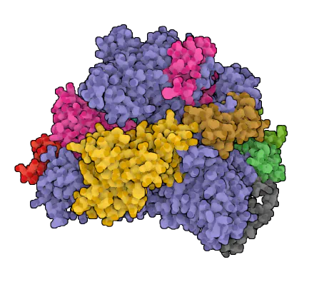 Proteomics