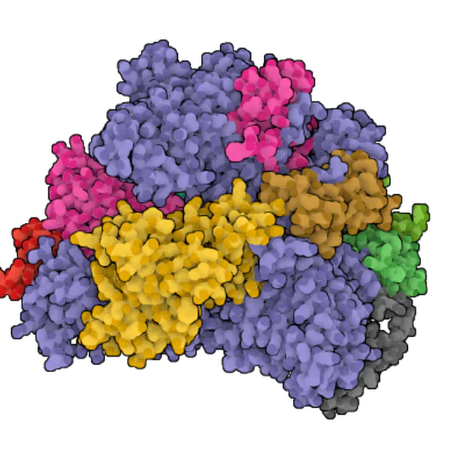 Proteomics