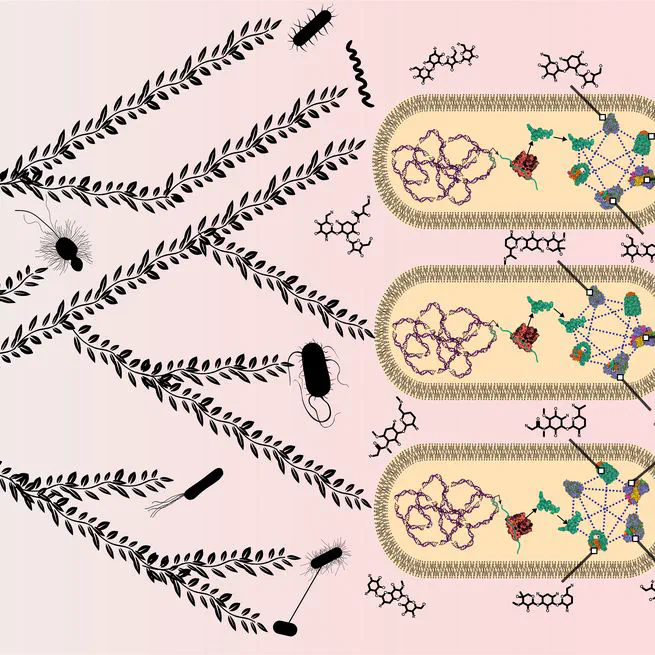 Wiring between close nodes in molecular networks evolves more quickly than between distant nodes